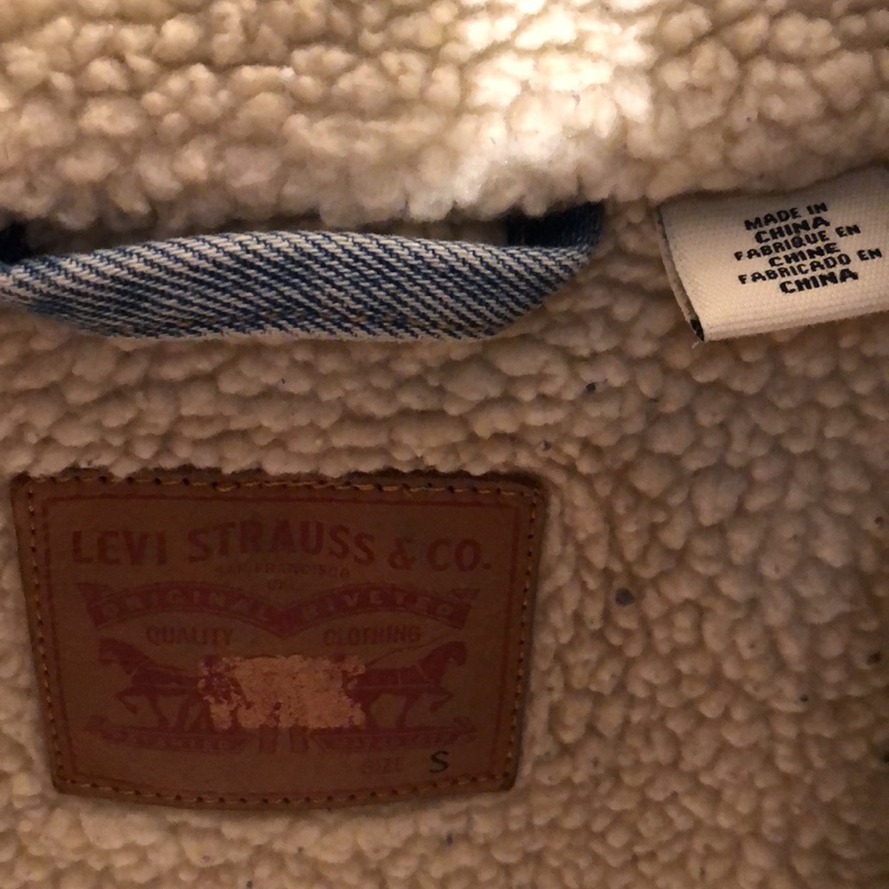 Levi. Flash - image 4